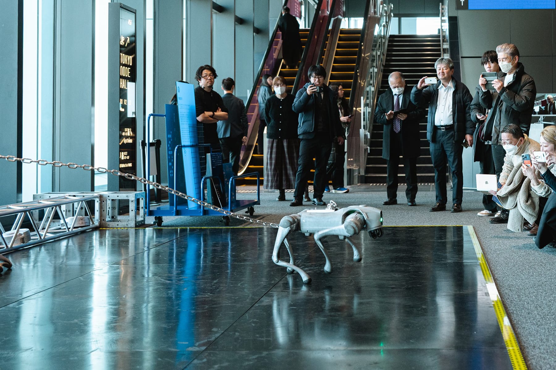 『鎖に繋がれた犬のダイナミクス』 藤堂高行（支援：令和6年度 文化庁メディア芸術クリエイター育成支援事業）