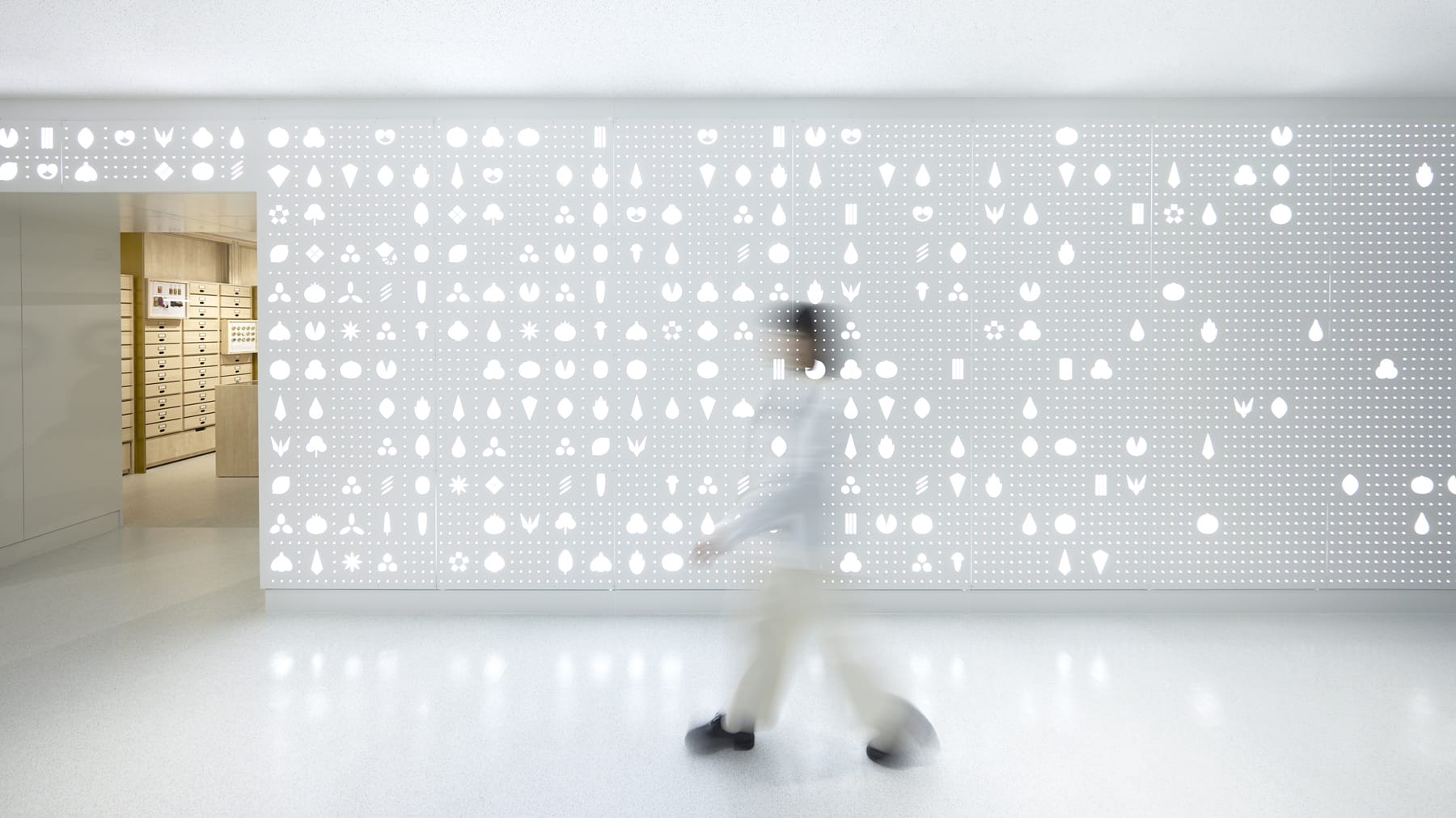 根元 八幡屋礒五郎 CEVEN LAB