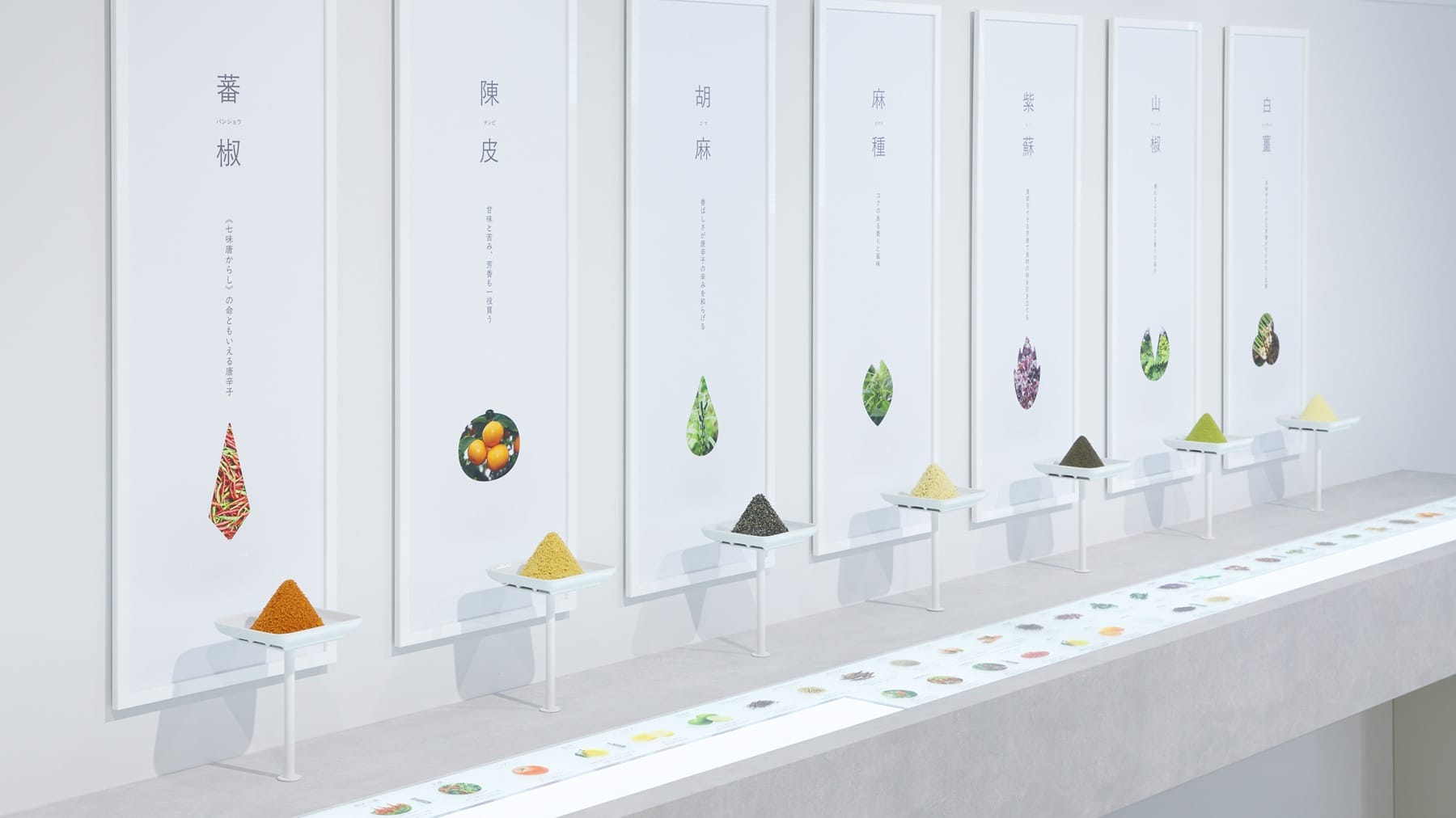 根元 八幡屋礒五郎 CEVEN LAB (1)