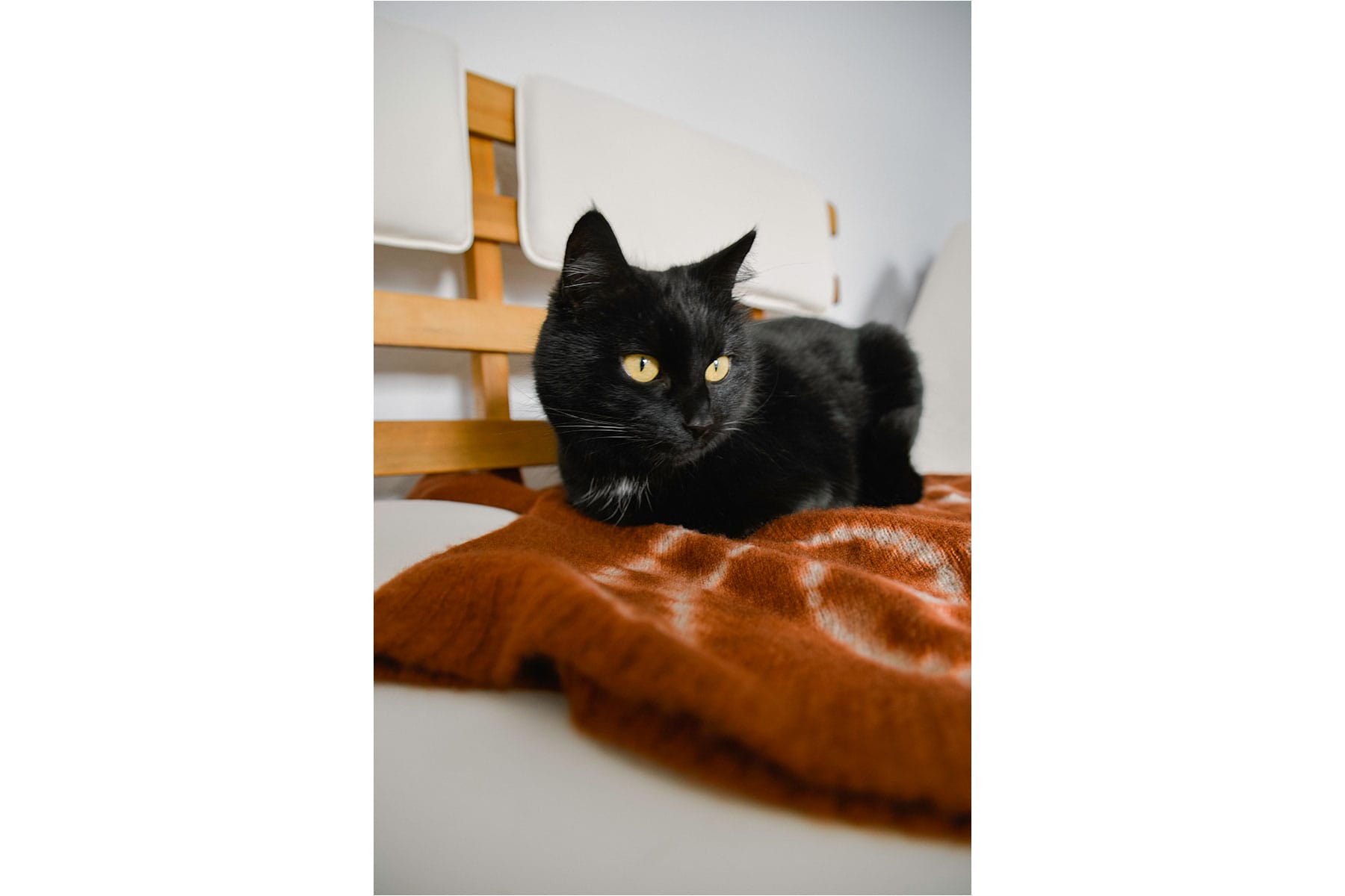 2025 Autumn/Winter Collection “Fable” (5)