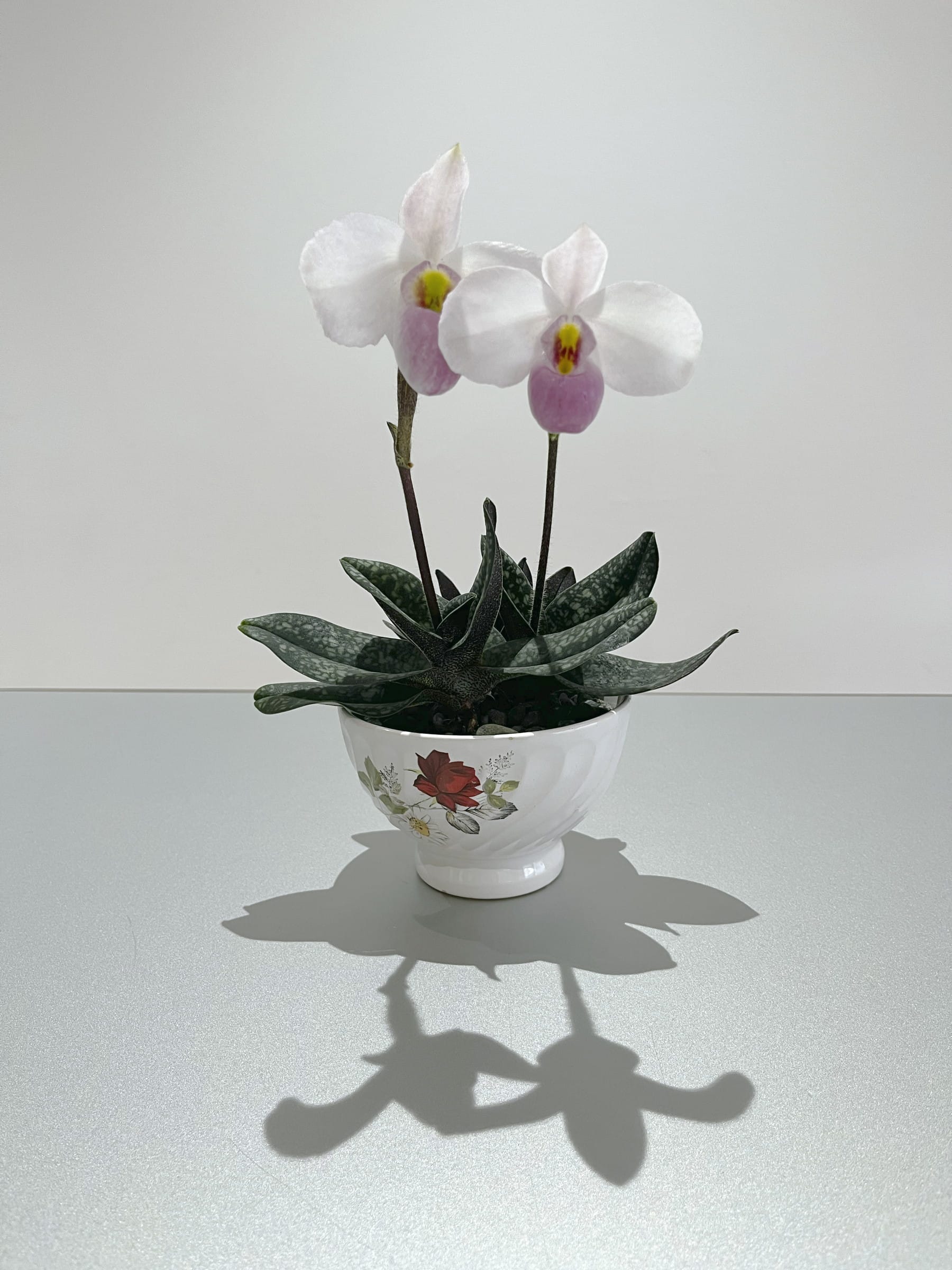 アンティーク食器を鉢にリメイク