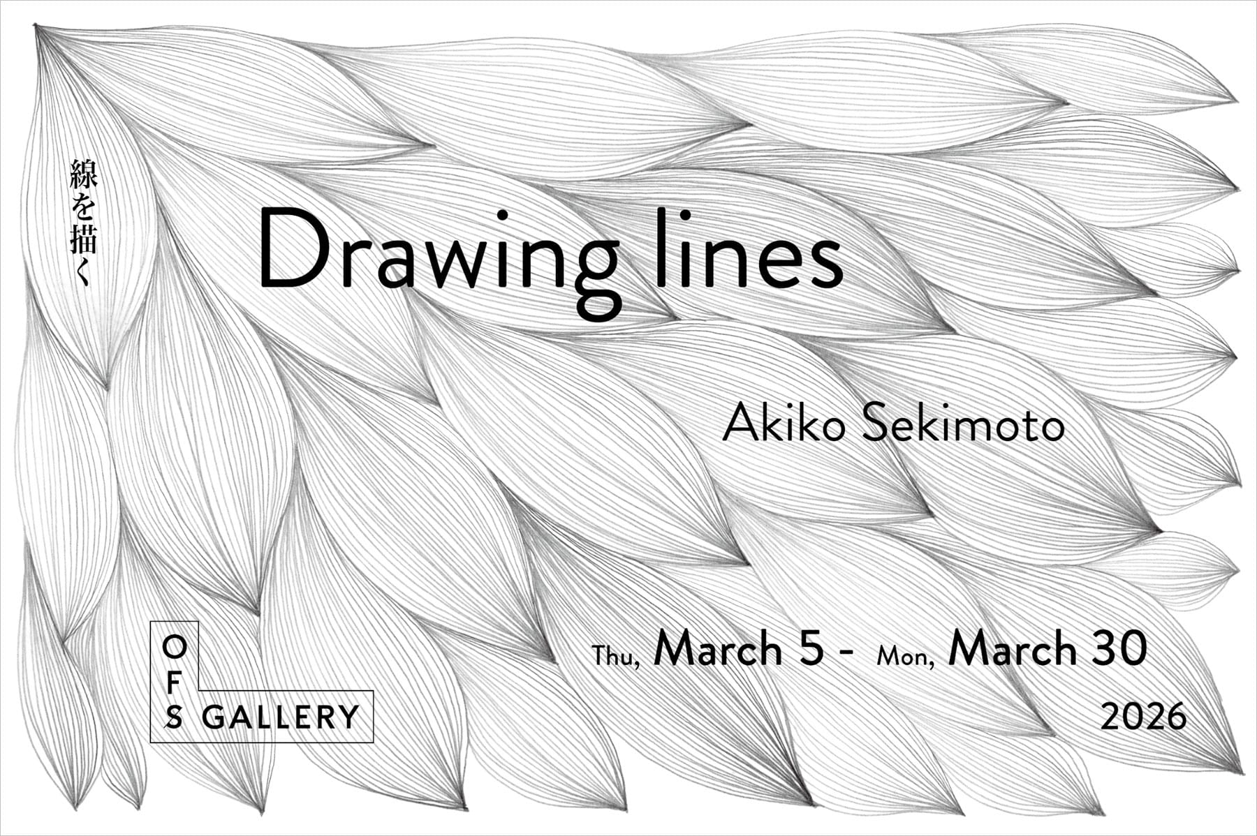 Drawing lines　線を描く
