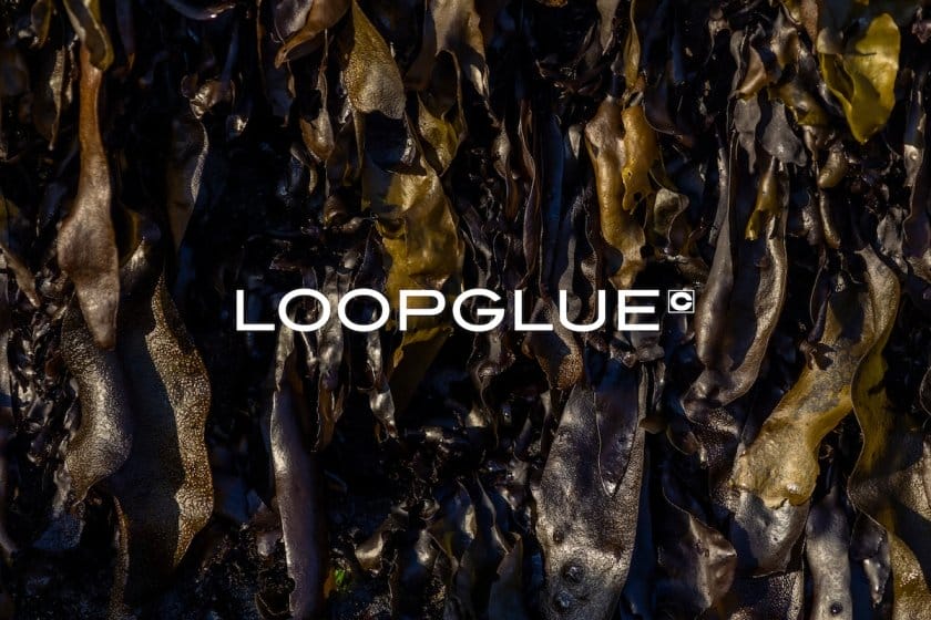 we+・博展・セメダインが、⽔で剥がせる海藻由来の接着剤「LOOPGLUE」を共同開発