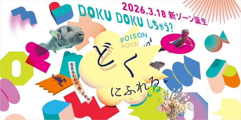 空間デザインをminnaが担当、体験型ミュージアム「ニフレル」の新ゾーン「どくにふれる」が3月18日にオープン