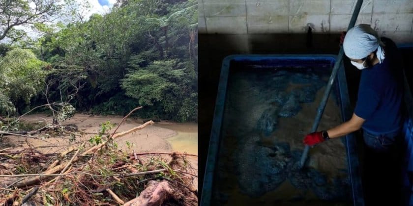 琉球藍のもののまわり 巡回展