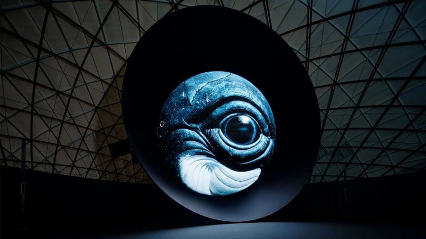 大阪・関西万博で公開された「BLUE OCEAN DOME」が日本科学未来館で特別上映