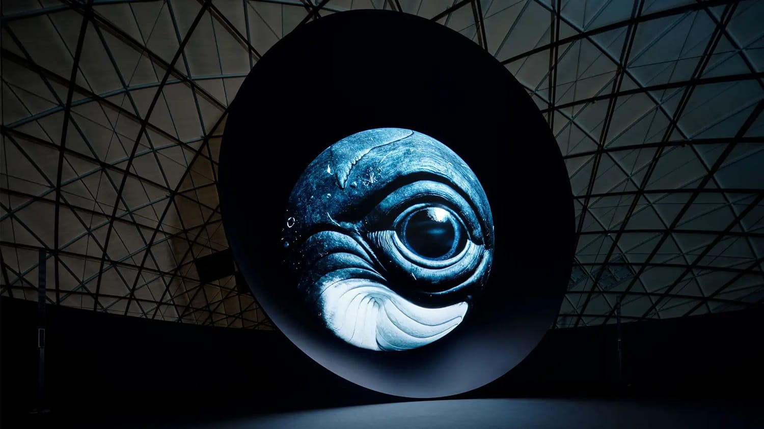 大阪・関西万博で公開された「BLUE OCEAN DOME」が日本科学未来館で特別上映
