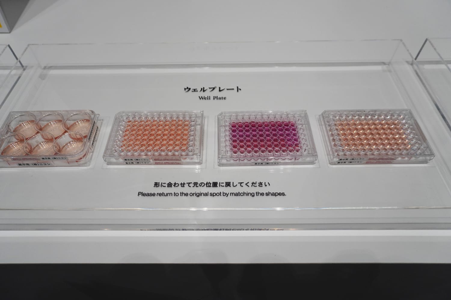 「ウェルプレート」。実際に触ることができる