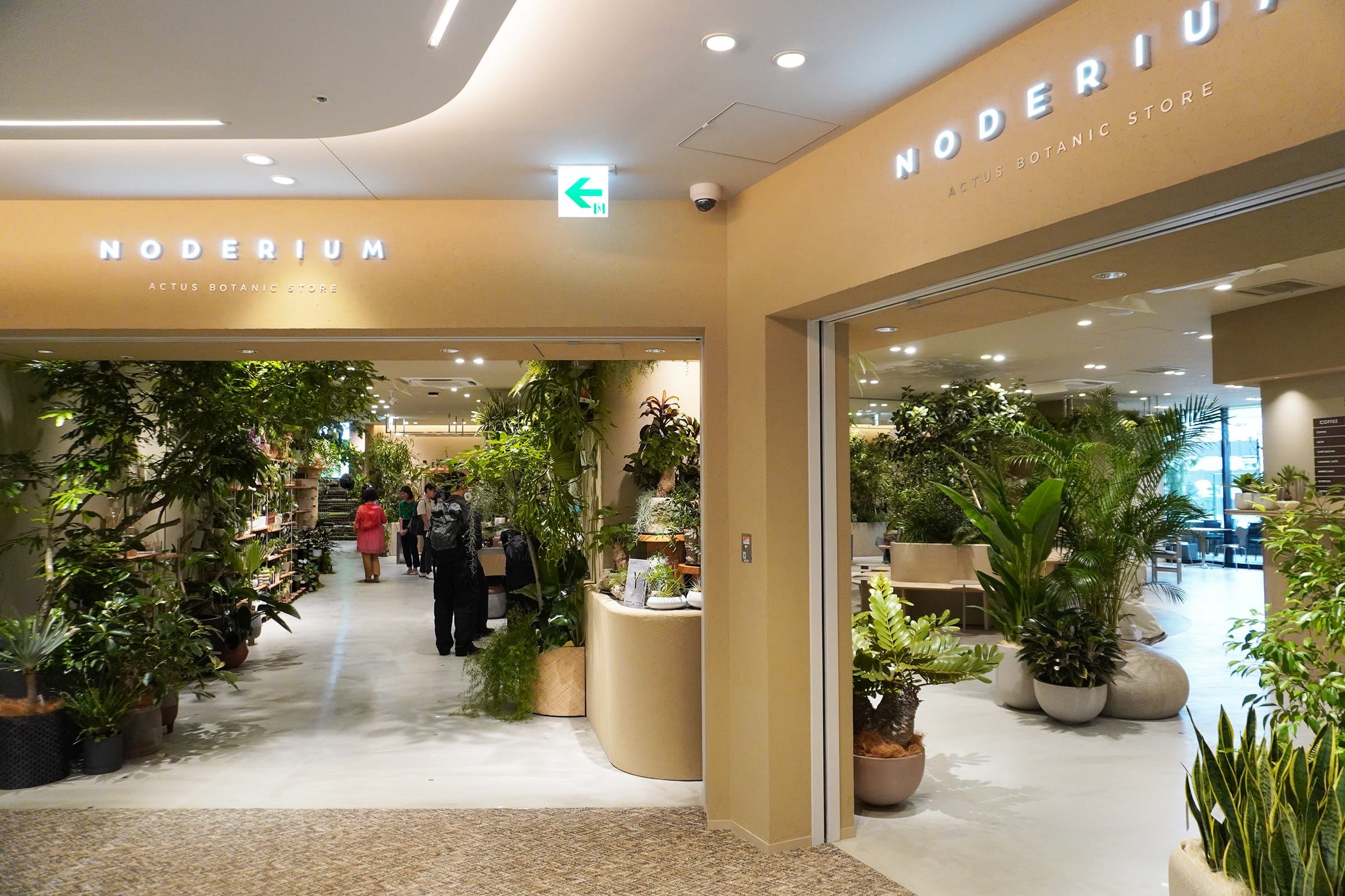 NODERIUM / SØHOLM CAFE JIYUGAOKA