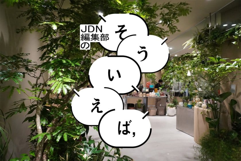 編集部の「そういえば、」－インテリア視点で選ぶ植物