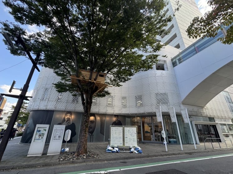 まちづくりの取り組みがアートと建築を楽しむ国際芸術祭に結実。初開催の「前橋国際芸術祭」レポート（2）